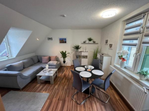 Ferienwohnung Mittweida-City 